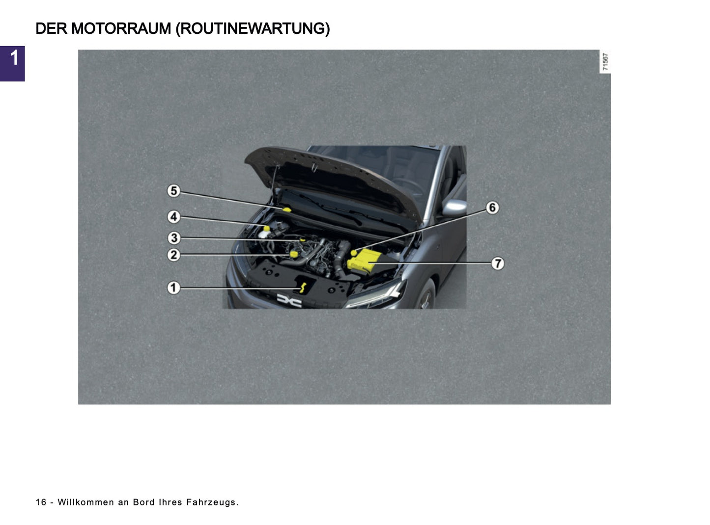 2025-2026 Dacia Sandero/Sandero Stepway Bedienungsanleitung | Deutsch
