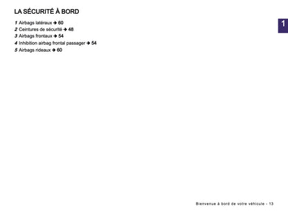 2024-2025 Dacia Sandero/Sandero Stepway Owner's Manual | French