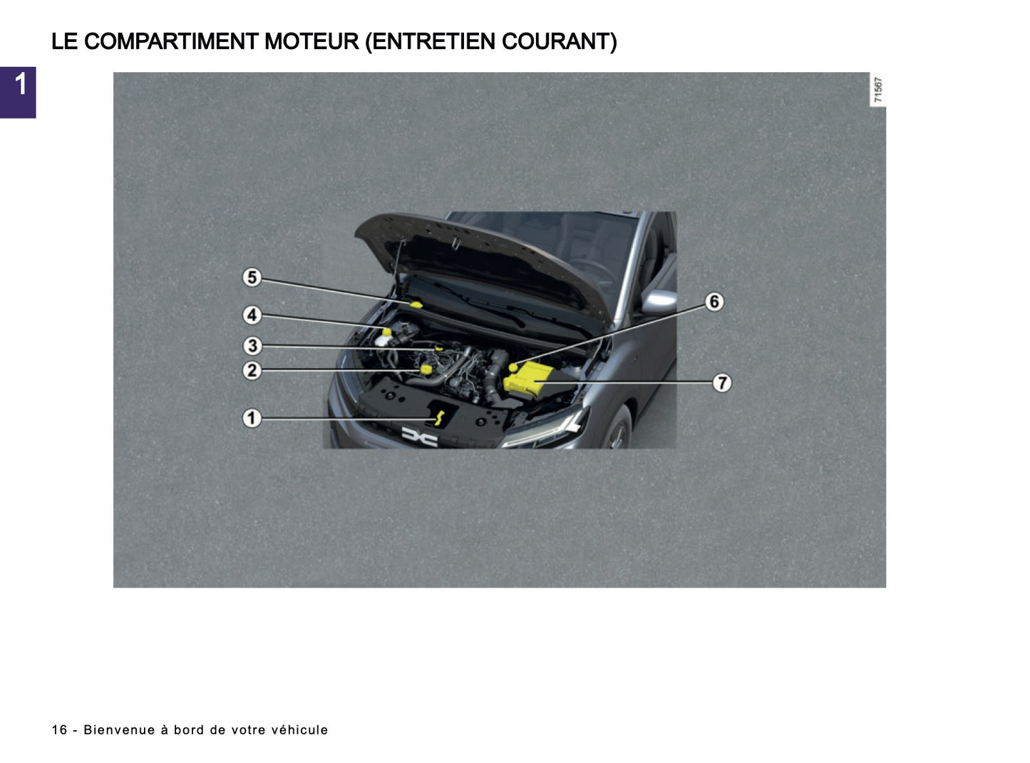 2025-2026 Dacia Sandero/Sandero Stepway Owner's Manual | French