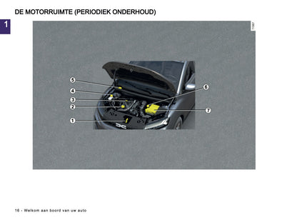 2025-2026 Dacia Sandero/Sandero Stepway Gebruikershandleiding | Nederlands
