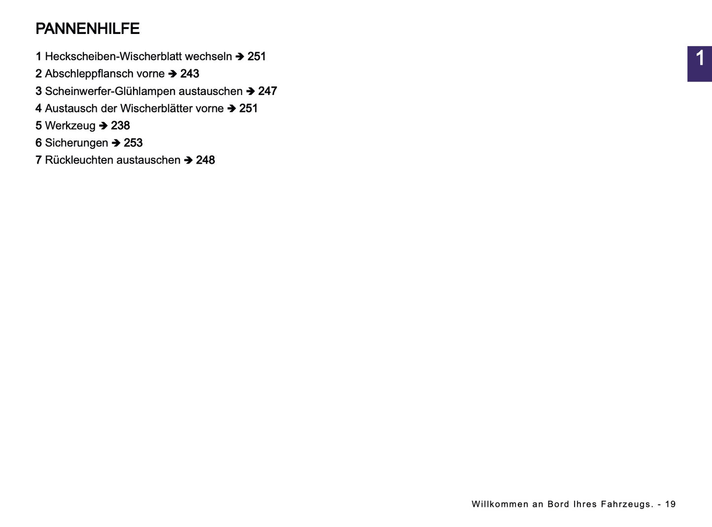 2024-2025 Dacia Spring Electric Owner's Manual | German