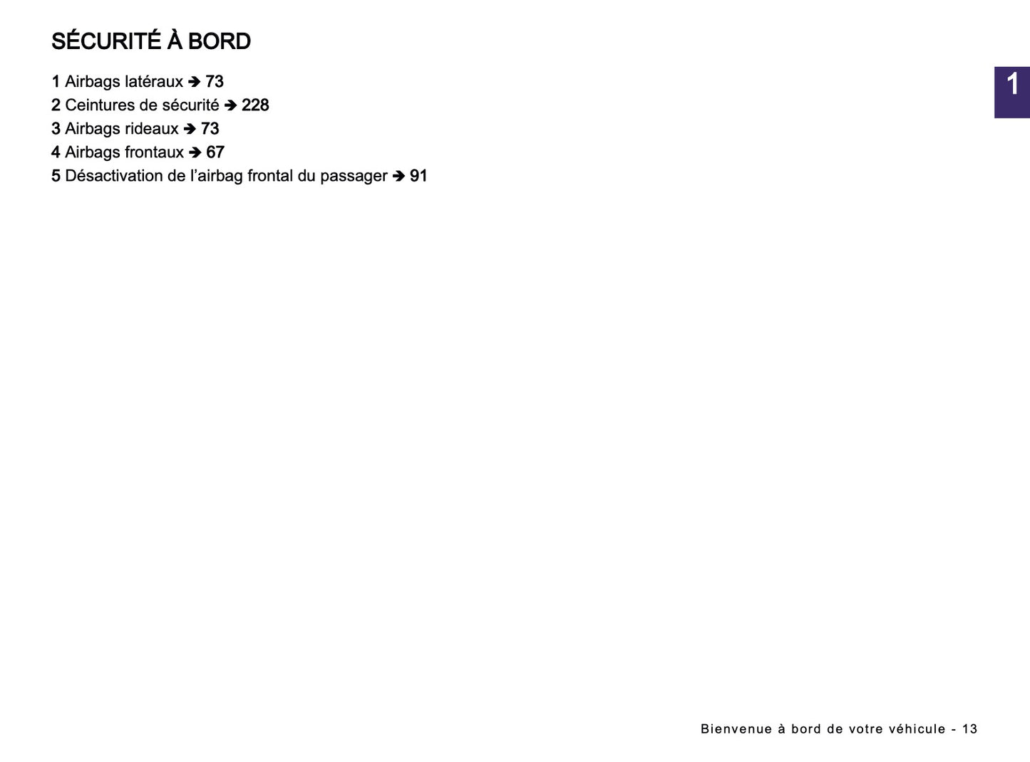 2024-2025 Dacia Spring Electric Manuel du propriétaire | Français
