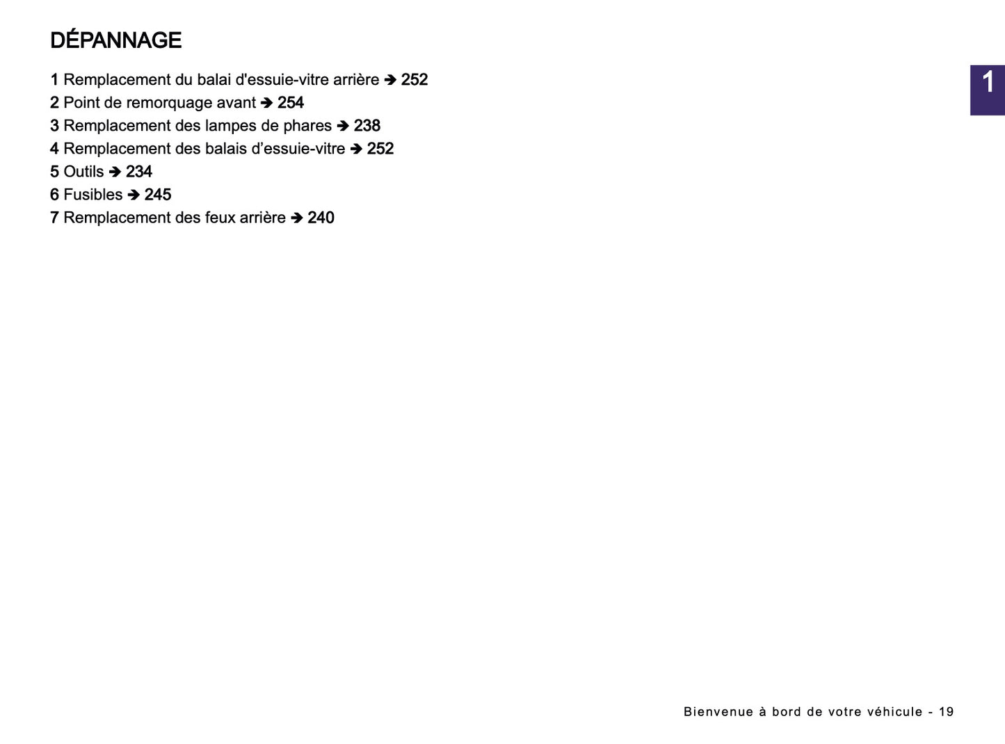 2024-2025 Dacia Spring Electric Manuel du propriétaire | Français