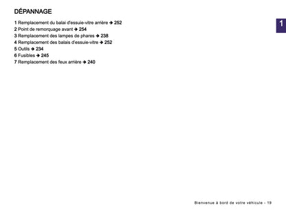 2024-2025 Dacia Spring Electric Manuel du propriétaire | Français