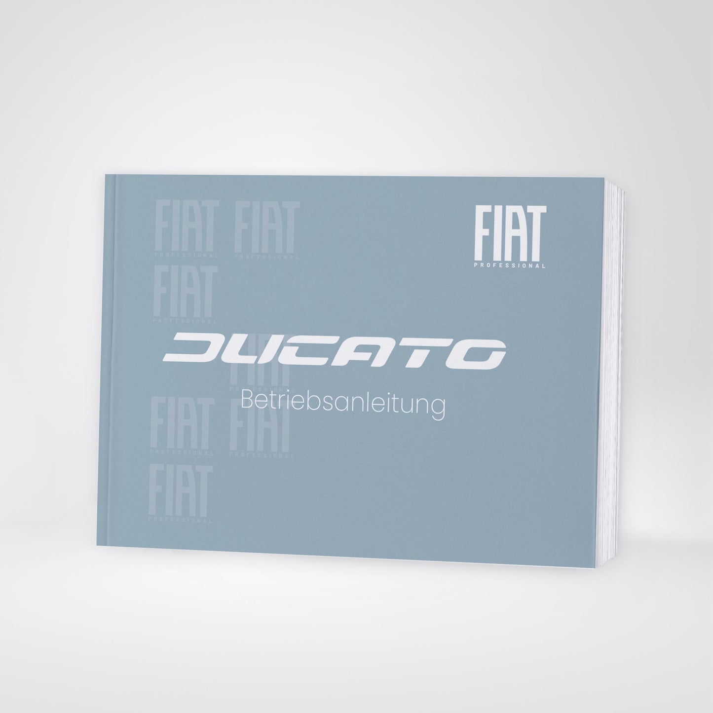 2025 Fiat Ducato Owner's Manual | German