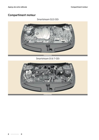 2025-2026 Kia Sportage Manuel du propriétaire | Français