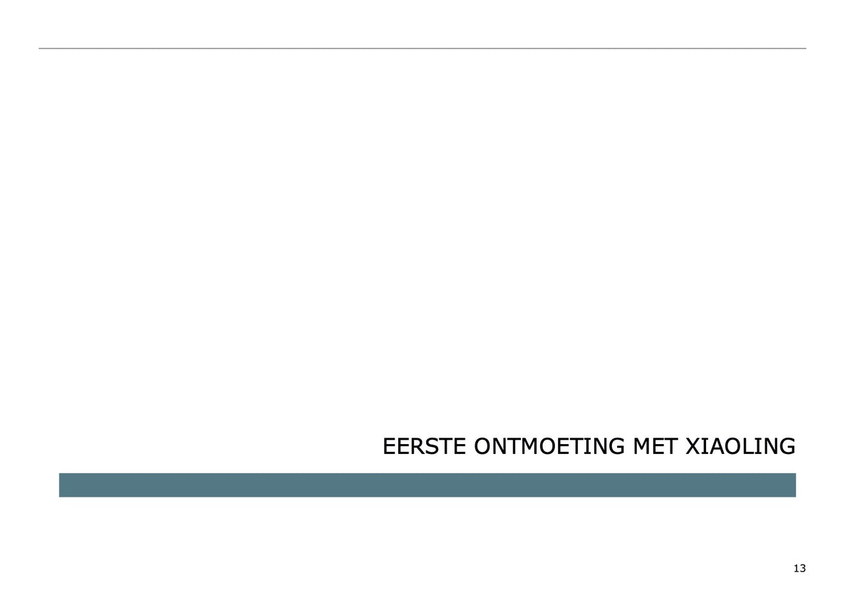 2025 Leapmotor T03 Owner's Manual | Dutch