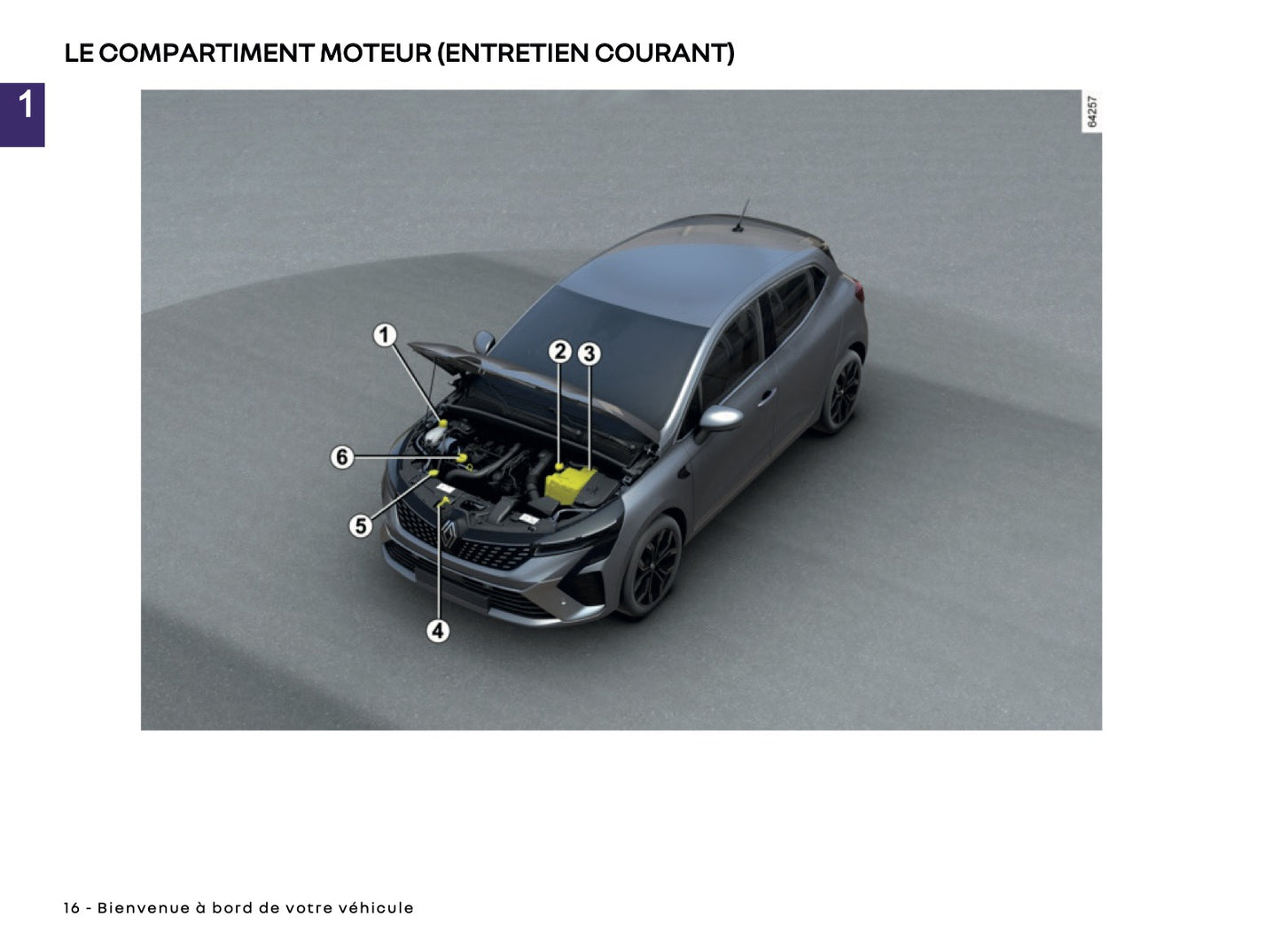2024-2025 Renault Clio Manuel du propriétaire | Français