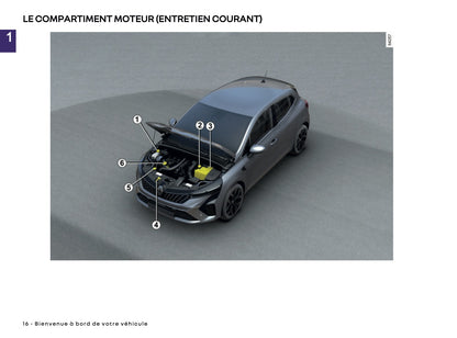 2024-2025 Renault Clio Manuel du propriétaire | Français