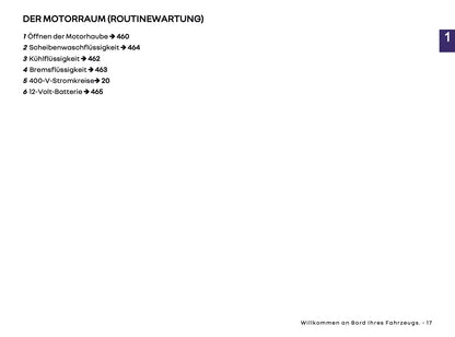 2025 Renault Kangoo E-Tech Owner's Manual | German