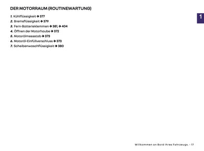 2025 Renault Rafale Owner's Manual | German