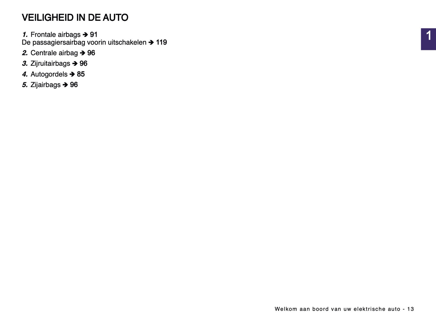 2024-2025 Renault Scenic E-Tech Owner's Manual | Dutch
