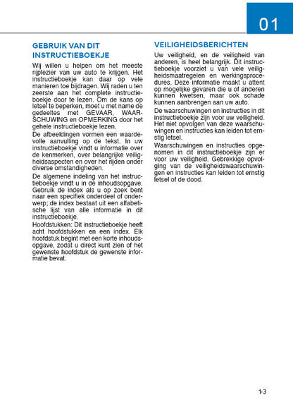 2020 Hyundai i10 Owner's Manual | Dutch