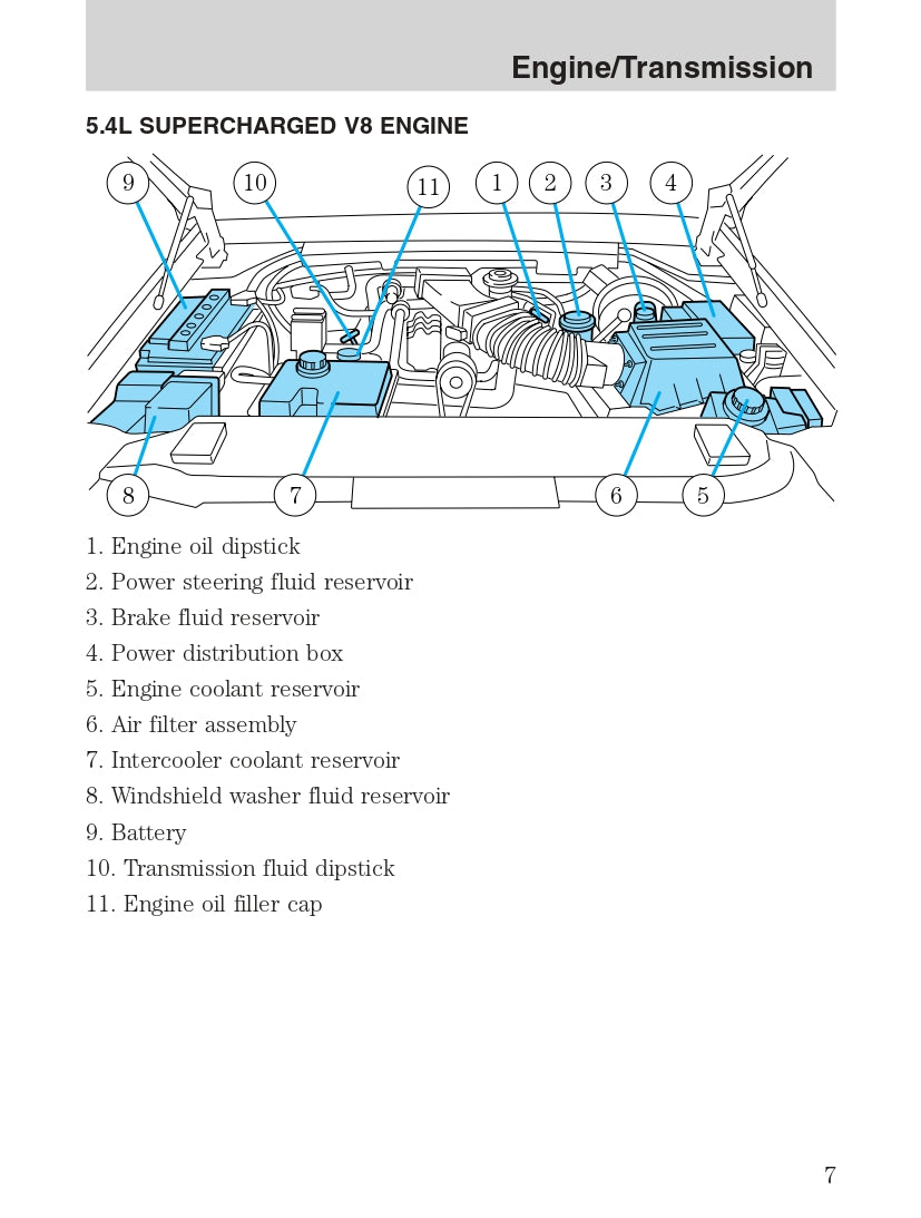 2004 Ford SVT F-150 Owner's Manual | English