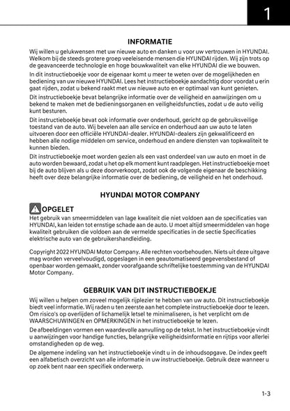 2022-2023 Hyundai Ioniq 6 Owner's Manual | Dutch