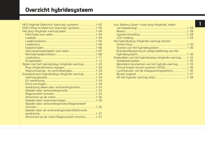 2017-2018 Kia Optima Hybrid Bedienungsanleitung | Niederländisch