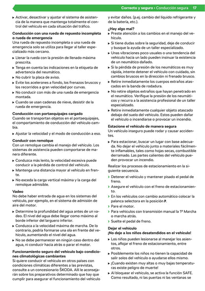 2019-2020 Skoda Kamiq Bedienungsanleitung | Spanisch