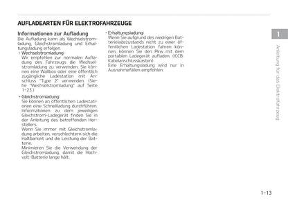 2021-2022 Kia e-Niro Gebruikershandleiding | Duits