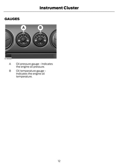 2020 Ford Mustang Shelby GT500 Owner's Manual | English