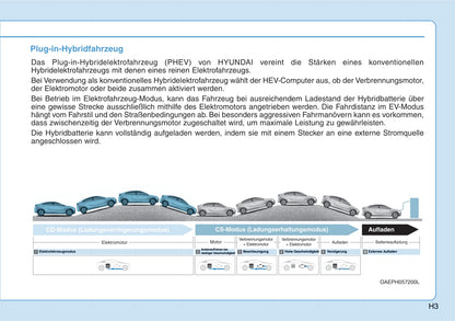 2021-2022 Hyundai Ioniq 5 Owner's Manual | German