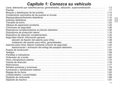 2018-2019 Renault Kangoo Bedienungsanleitung | Spanisch