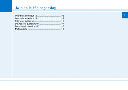2021-2022 Hyundai i30 N Gebruikershandleiding | Nederlands