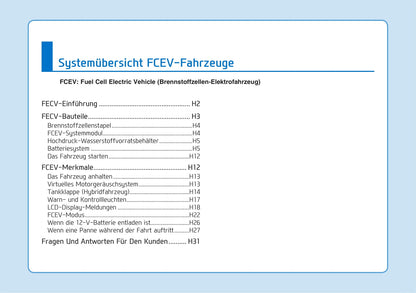 2018-2019 Hyundai Nexo Owner's Manual | German