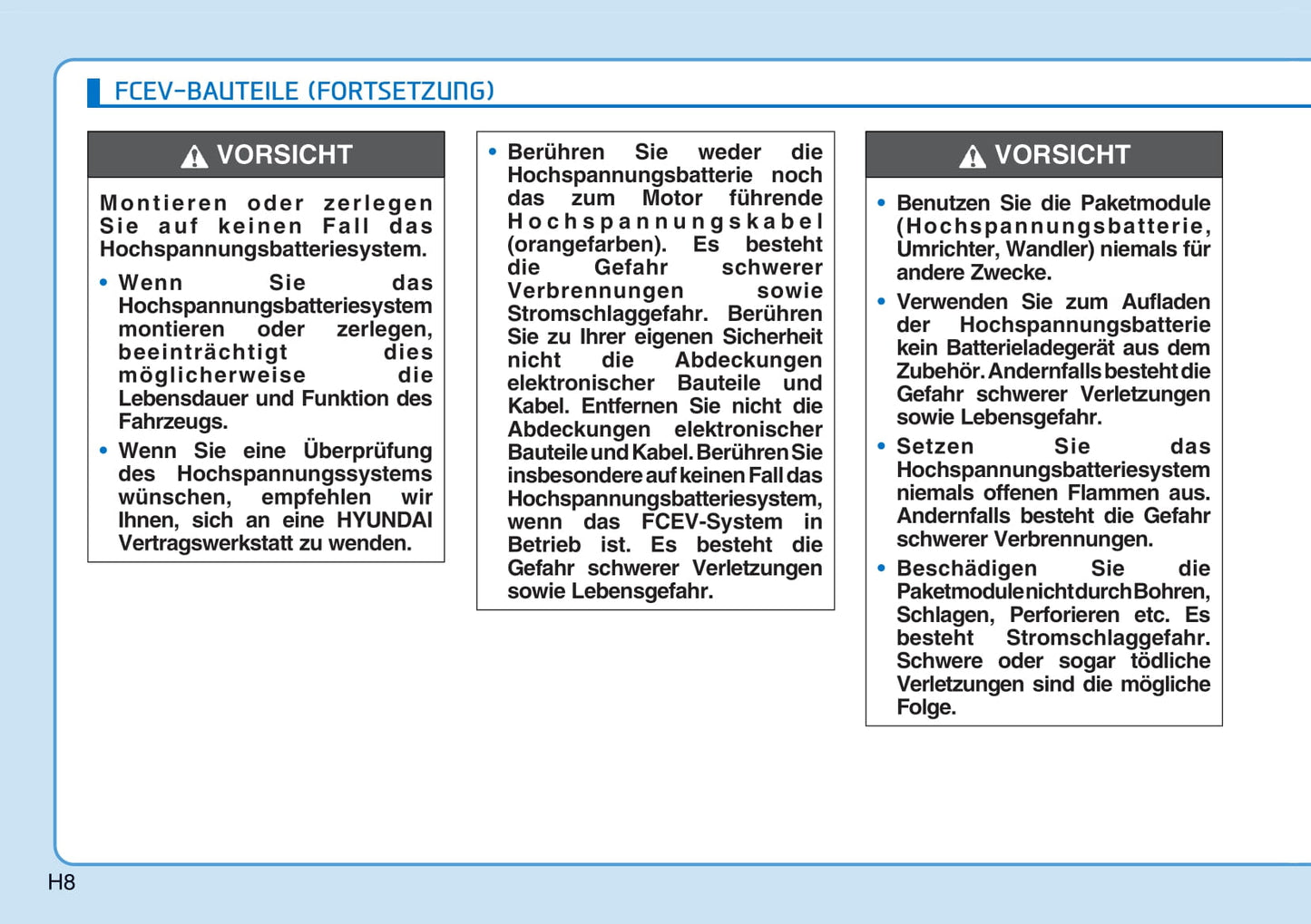 2018-2019 Hyundai Nexo Owner's Manual | German