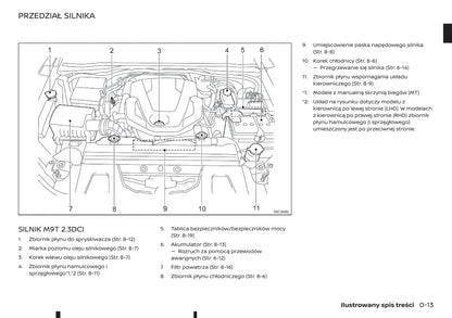 2018-2019 Renault Alaskan Bedienungsanleitung | Polnisch