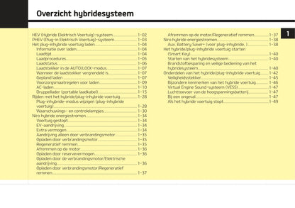 2020-2021 Kia Niro Hybrid Bedienungsanleitung | Niederländisch