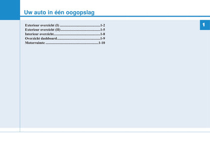 2019-2020 Hyundai i20 Owner's Manual | Dutch