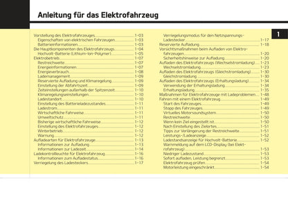 2020-2021 Kia e-Soul Owner's Manual | German