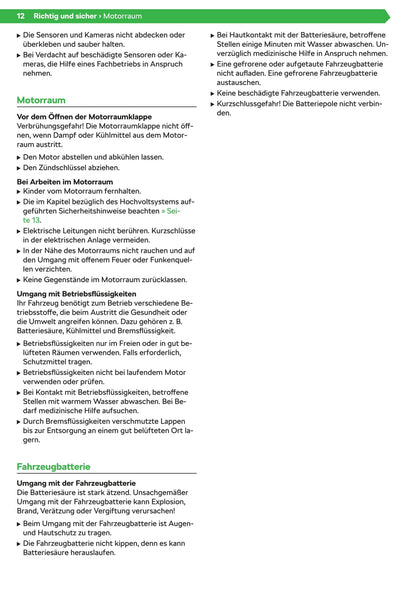 2019-2020 Skoda Citigo-e iV Owner's Manual | German
