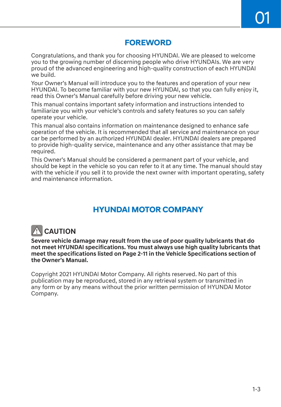 2019-2022 Hyundai Ioniq Manuel du propriétaire | Anglais