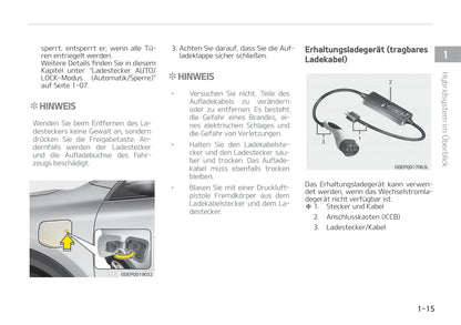 2020-2021 Kia Niro Hybrid Owner's Manual | German