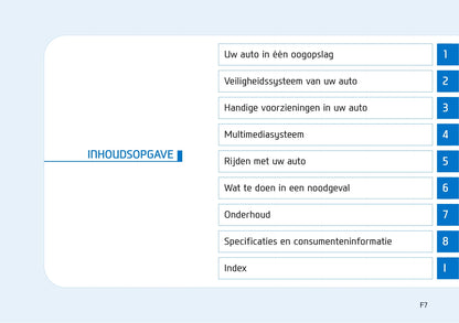 2016-2017 Hyundai Ioniq Electric Bedienungsanleitung | Niederländisch