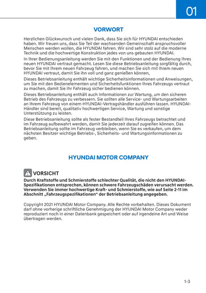 2021-2022 Hyundai Kona Electric Gebruikershandleiding | Duits