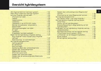 2019-2020 Kia Niro Hybrid Gebruikershandleiding | Nederlands