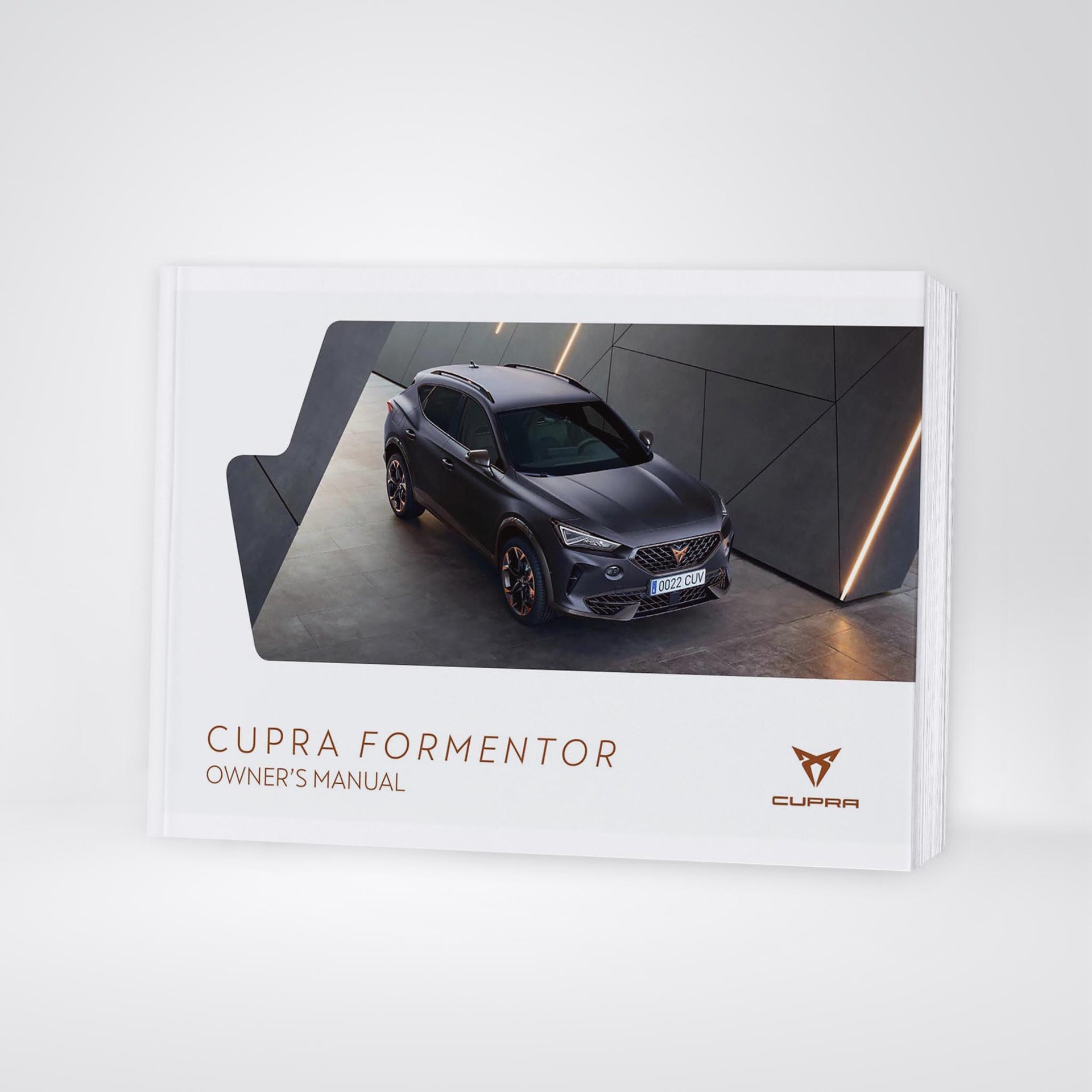 Cupra Formentor (2021) - picture 44 of 107