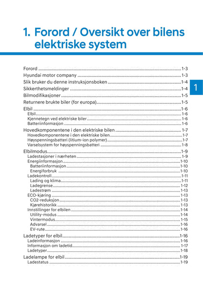 2021-2022 Hyundai Kona Electric Bedienungsanleitung | Norsk
