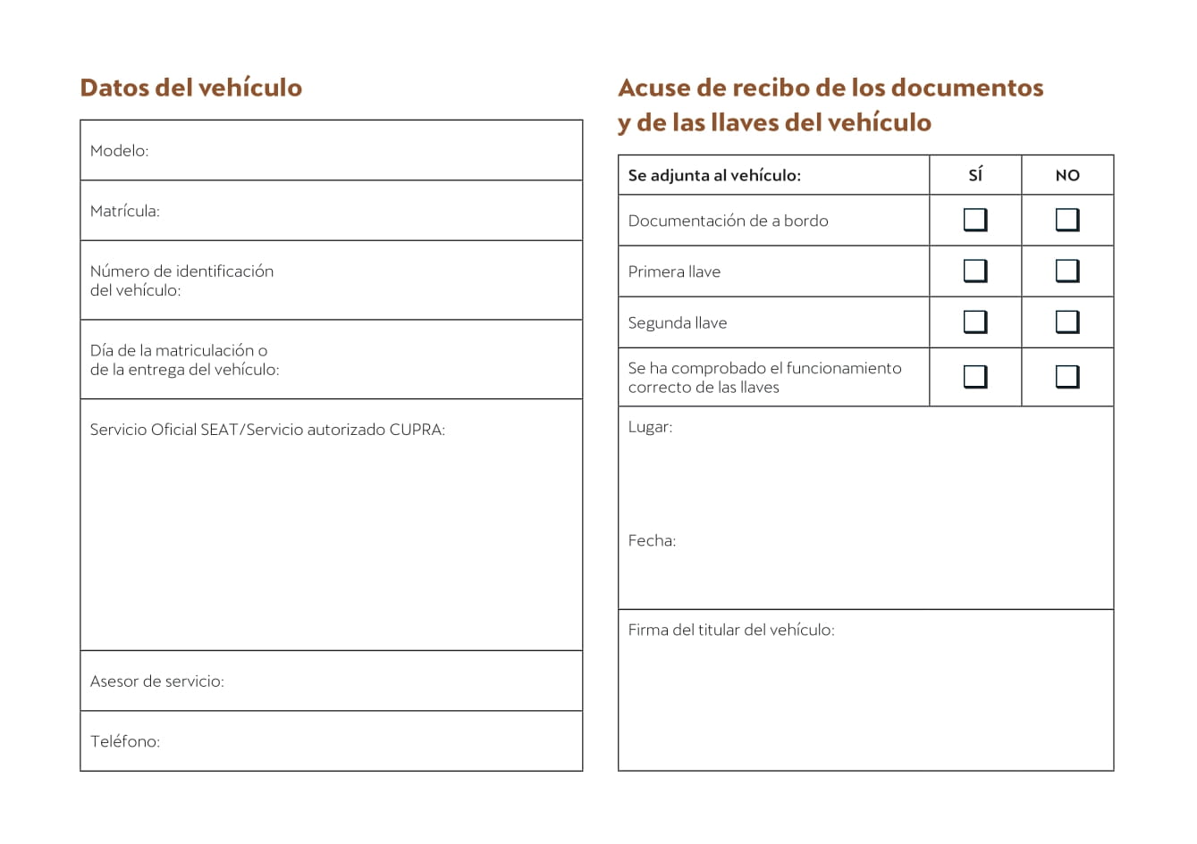 2021-2022 Cupra Leon Bedienungsanleitung | Spanisch