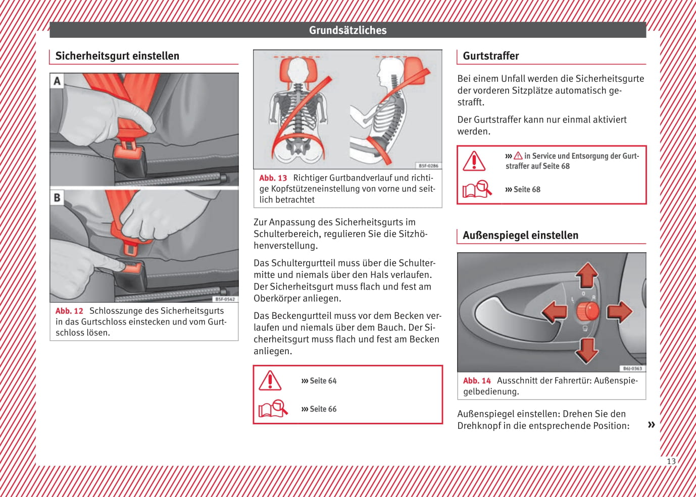 2015-2017 Seat Ibiza Owner's Manual | German