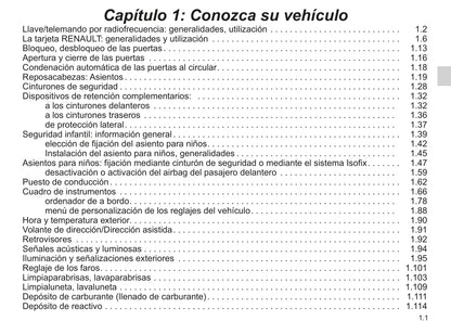 2018-2019 Renault Scénic Bedienungsanleitung | Spanisch