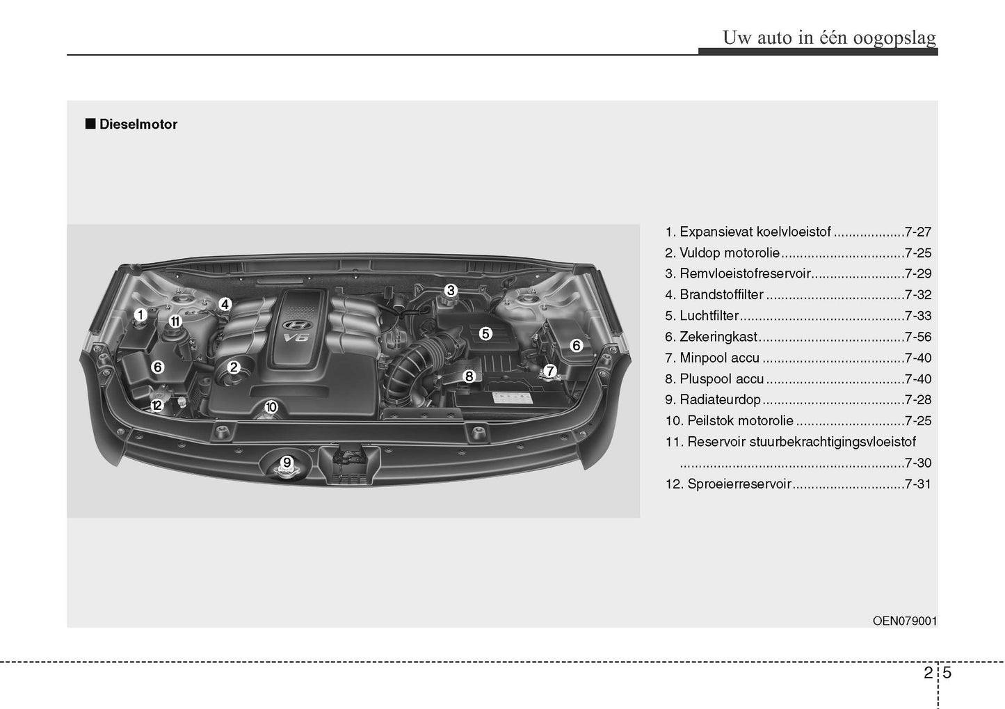 2006-2013 Hyundai ix55 Manuel du propriétaire | Néerlandais
